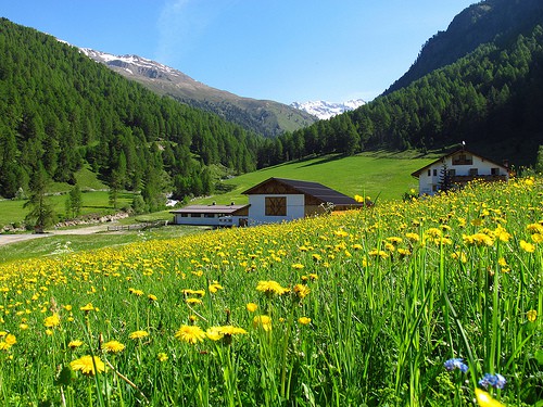 South Tyrol wonderful countryside