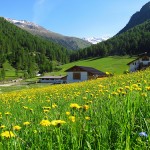 South Tyrol wonderful countryside