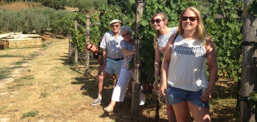 Visitors exploring the vineyards near Bardolino