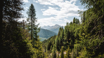 The Davos Schatzalp view captures a stunning alpine panorama of lush green slopes, charming mountain chalets, and majestic snow-capped peaks under a clear blue sky.