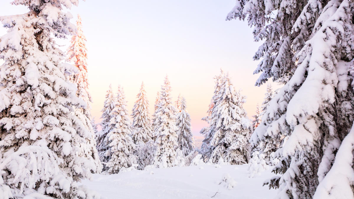 Adobestock 481993634