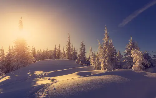 February 500X315