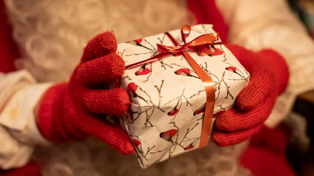 Tontulla Santas Elves Hideaway Levi Gift From Santa