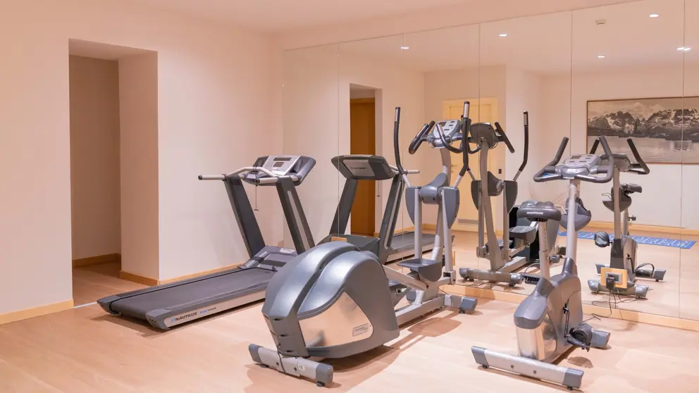 Italy, Madonna Di Campiglio, Hotel Ideal, Gym [7]