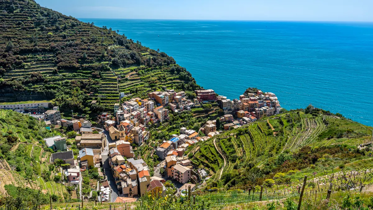 Walking through vineyards above Manarola, Cinque Terre, Summer