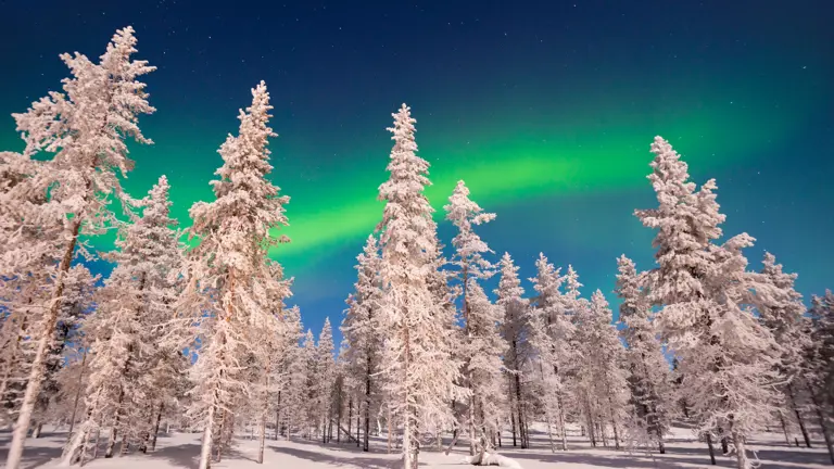 Finland Lapland Northern Lights Trees