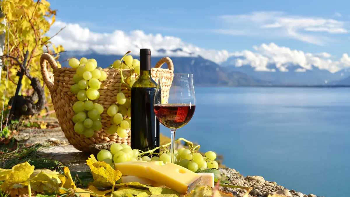 Swiss Wine Lavaux region