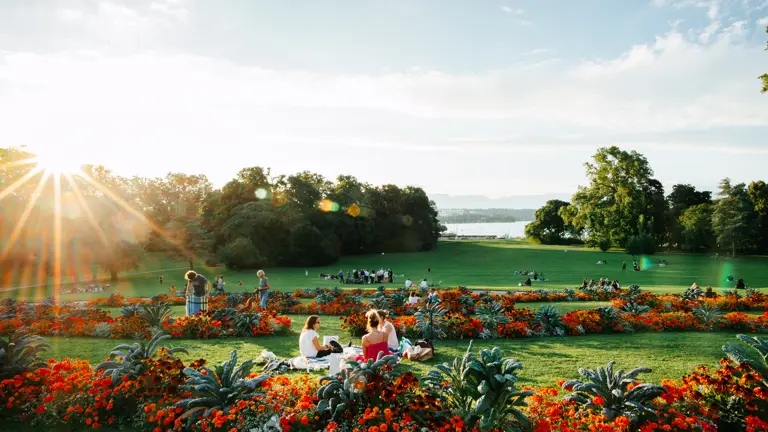A scenic view of a landscape