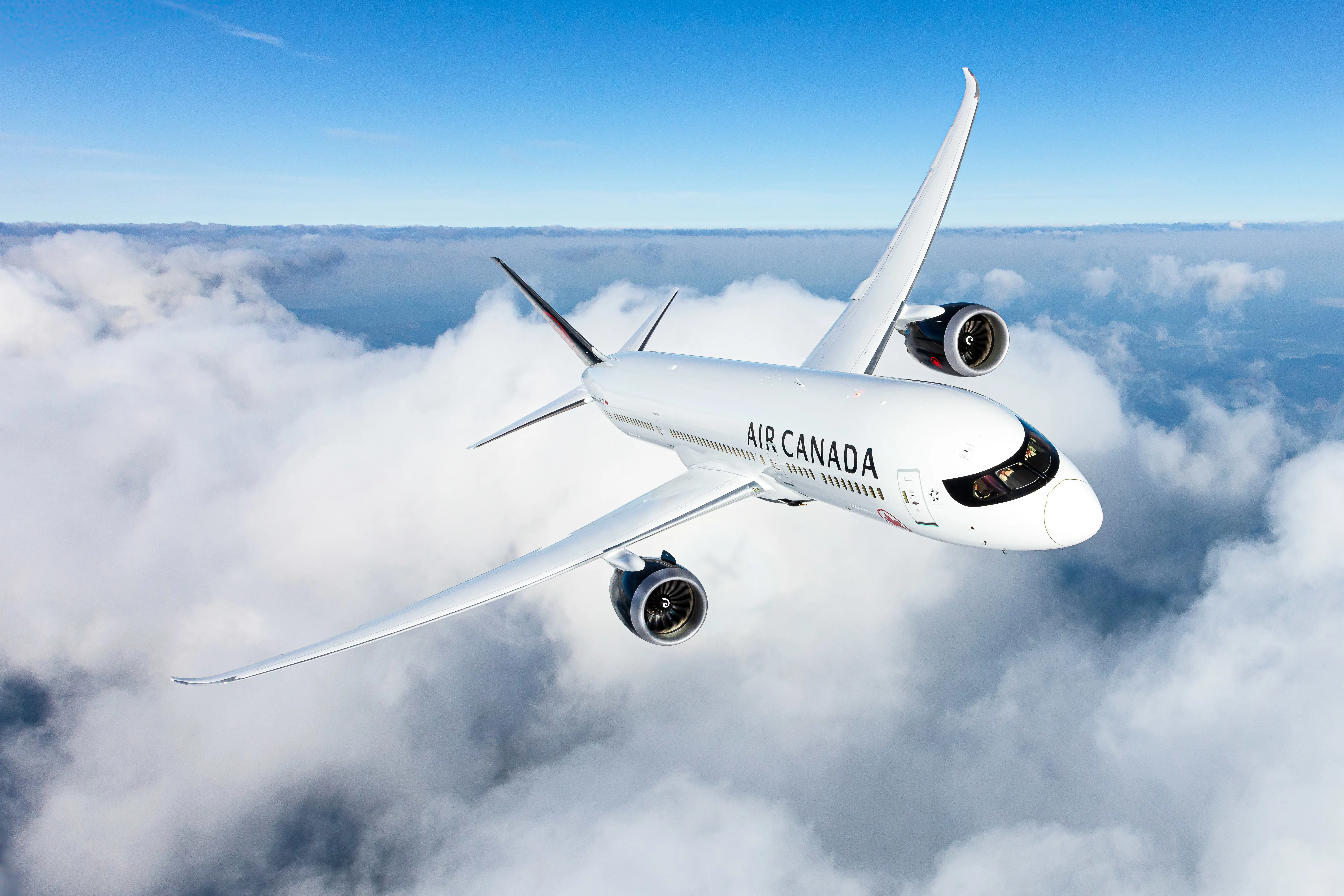 Hero Banner Background Video or Image