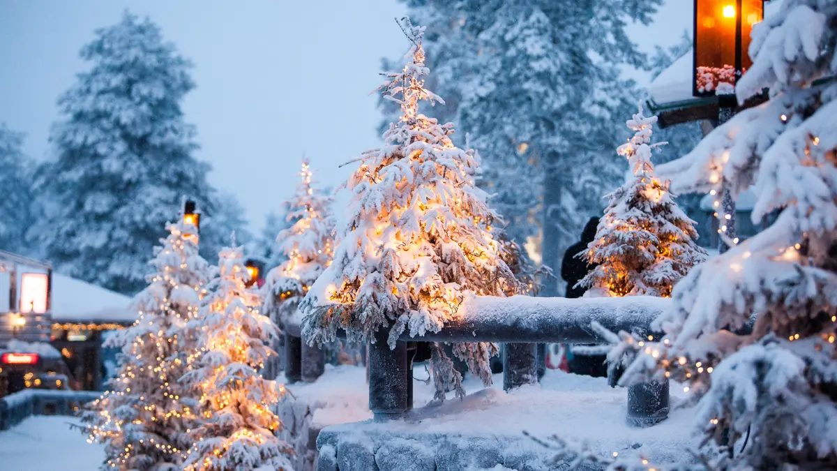 Finland Lapland Christmas Tree