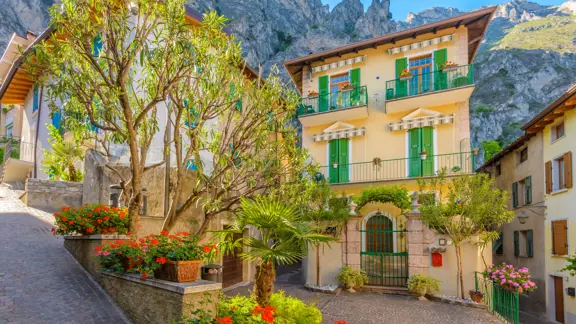 House with Green Shutters