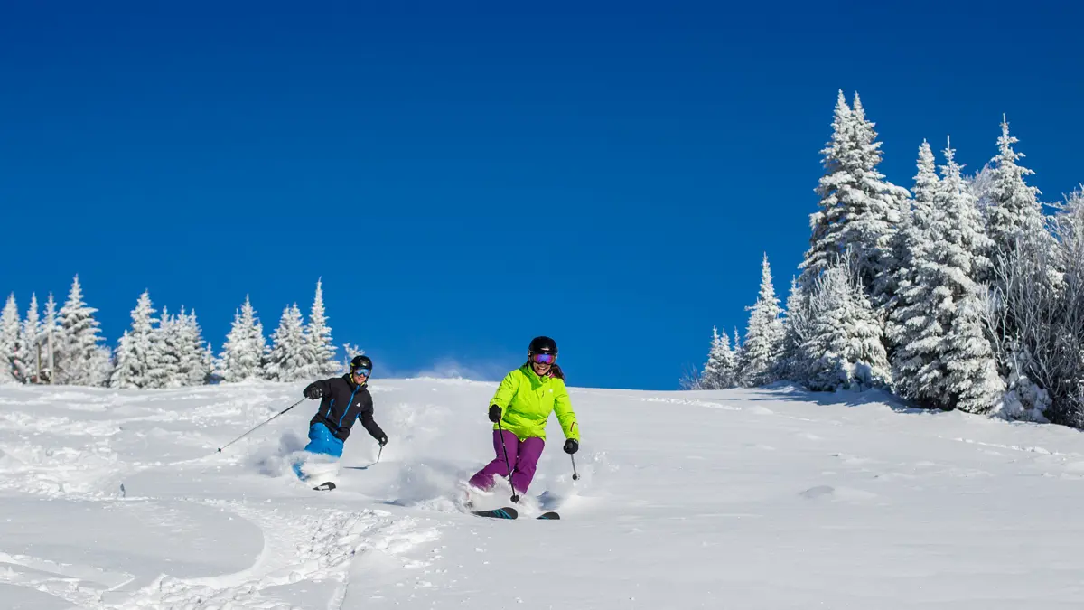 Powder Skiing ©ValentineMatic