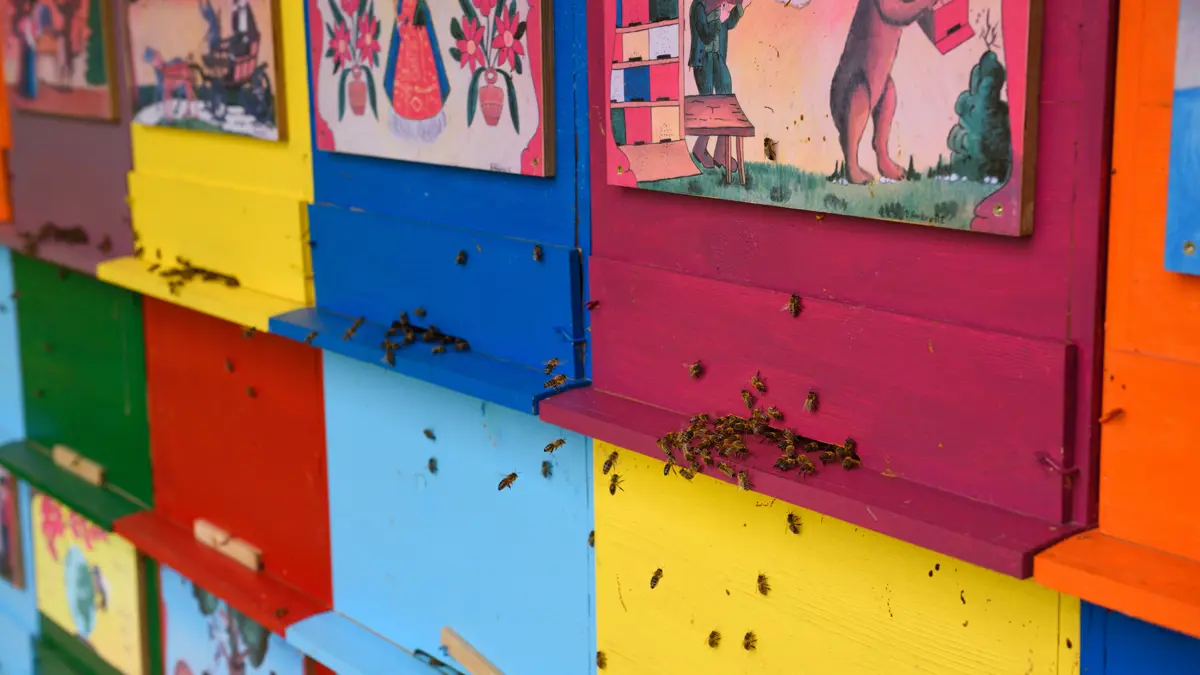 Beekeeping