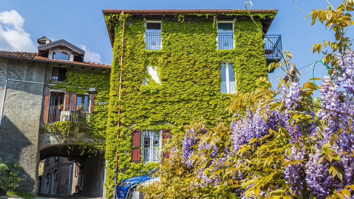 Summer Holidays in Lake Como, Menaggio, Italy