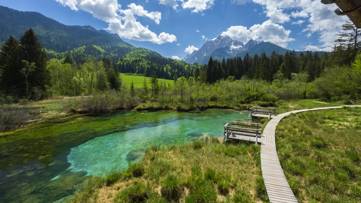 Kranjska Gora Zelenci Nature Park Copyright Richard Semik Adobestock 572974660
