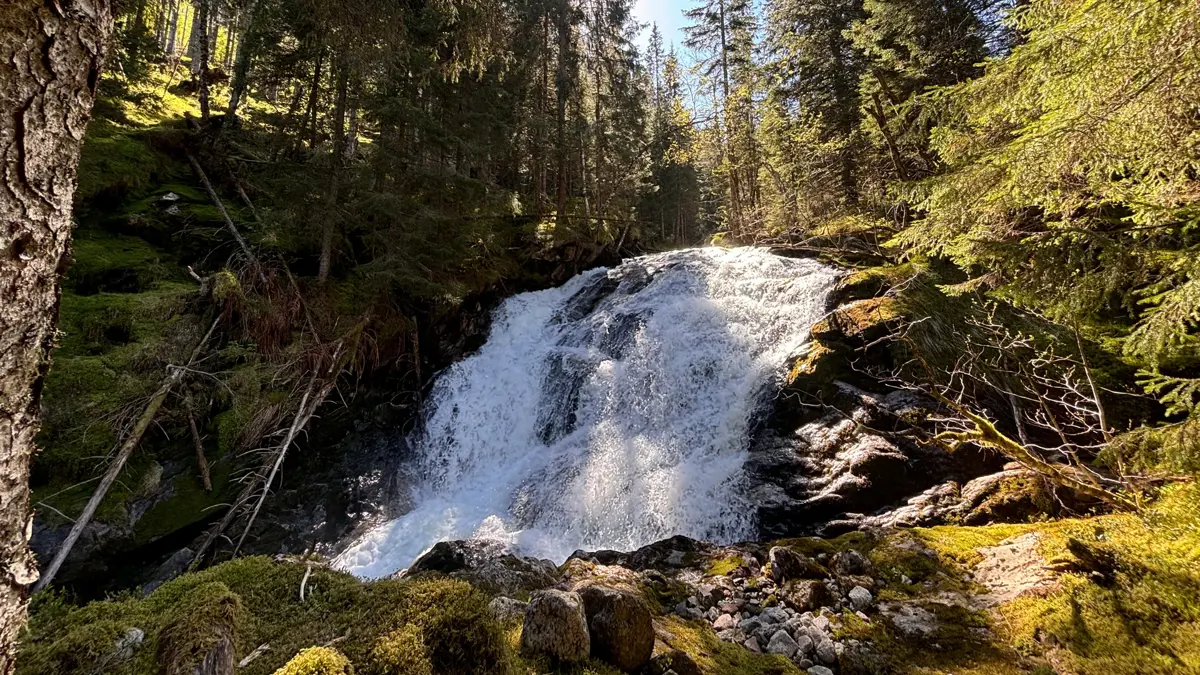 Yellow Route Nature Trail Waterfall Balestrand Norway