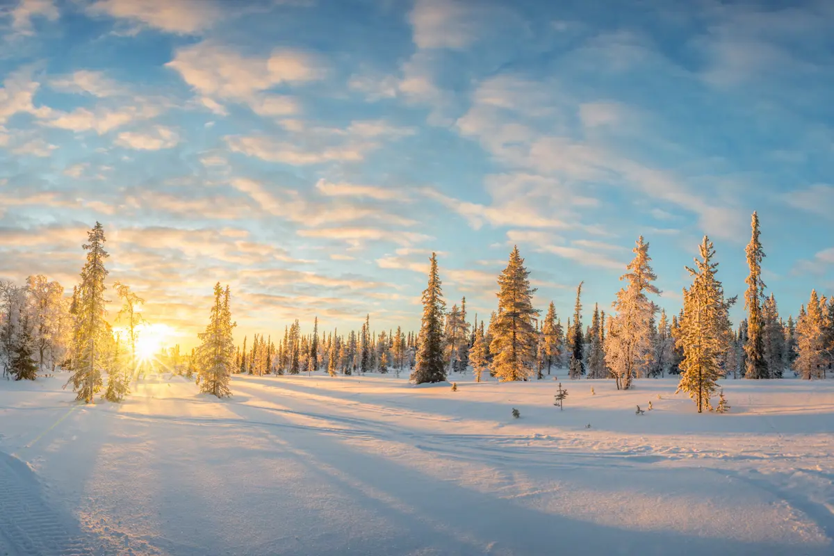 Saariselka Finland Snow Covered Landscape Adobe 2