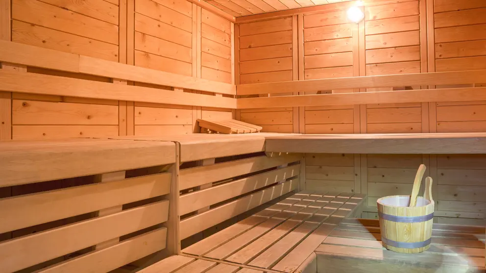 Hotel Les Melezes Les Arcs Sauna [7]