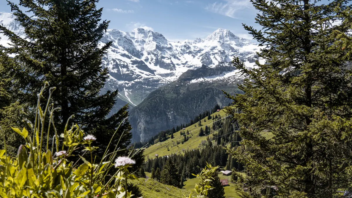 Mürren ©Jungfrau Region Tourism