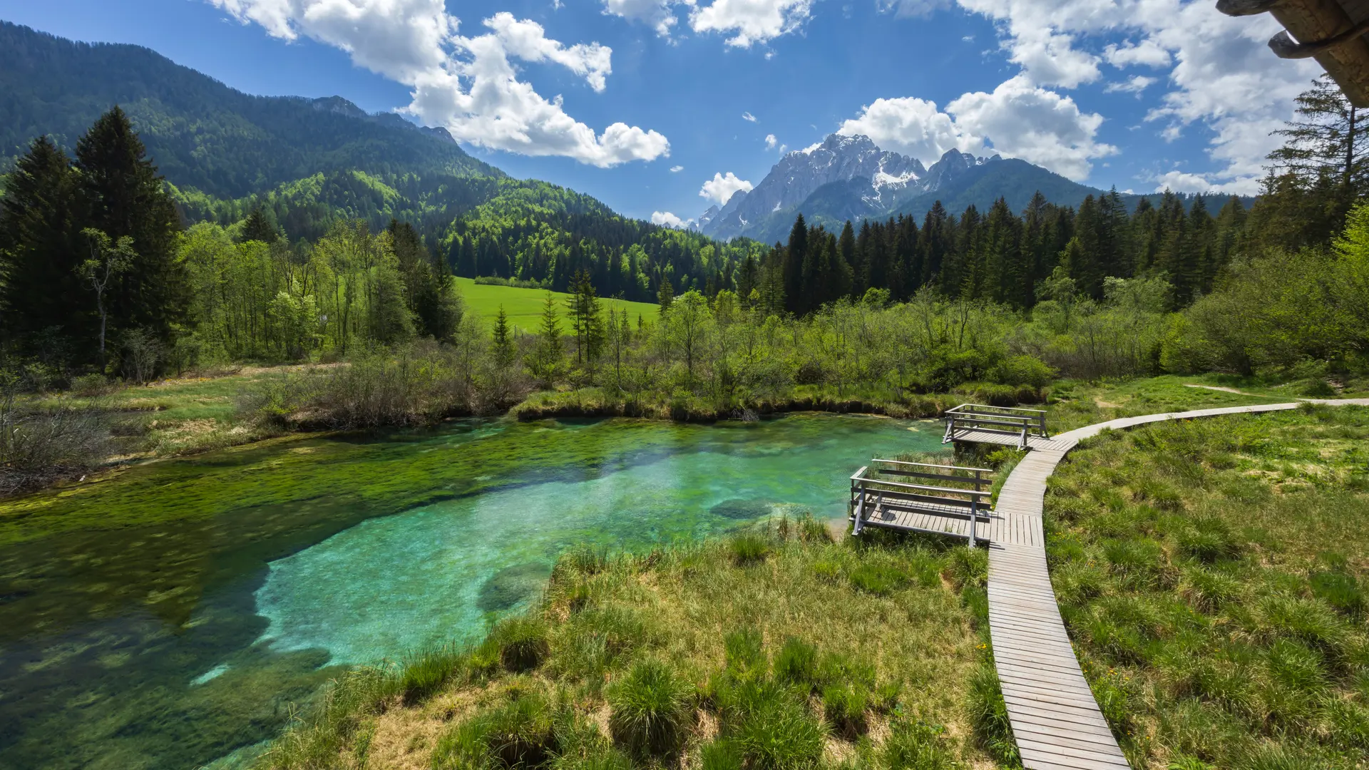 Hero Banner Background Video or Image