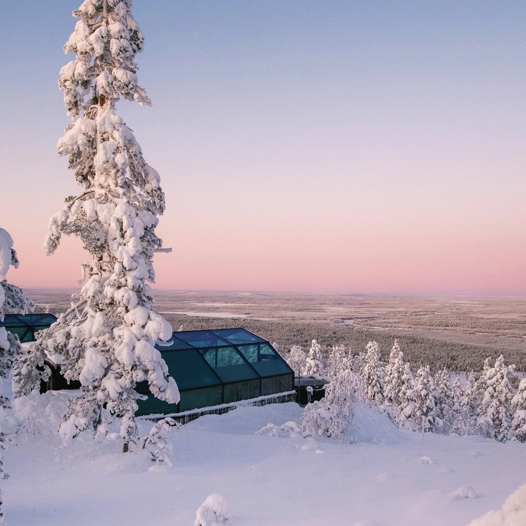 Hero Banner Background Video or Image