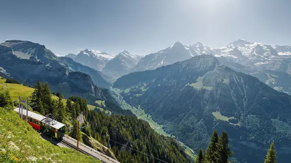 Schynige Platte