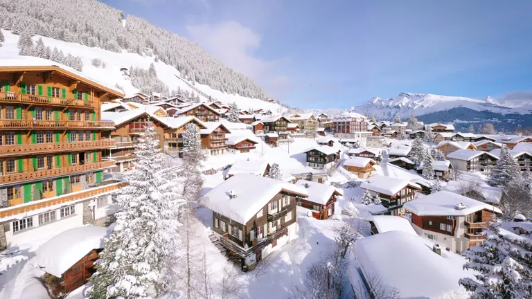 A scenic view of a landscape