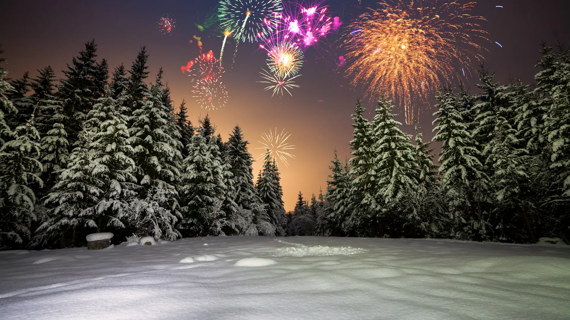 Hero Banner Background Video or Image