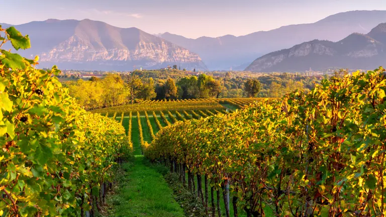A scenic view of a landscape
