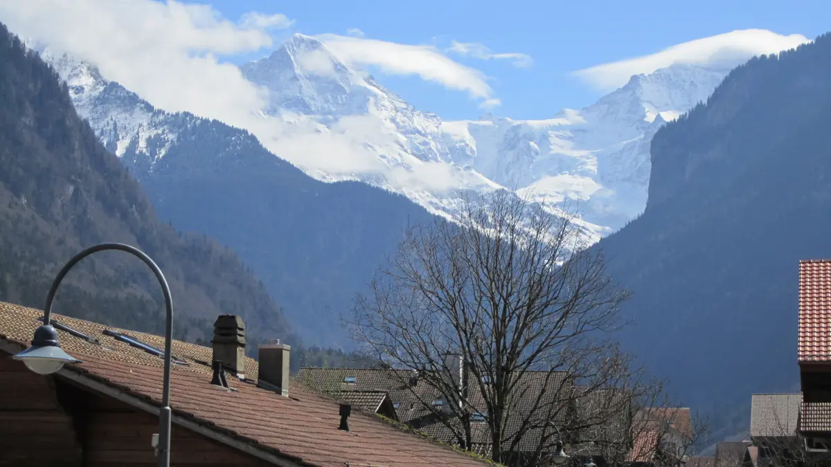 Hotel Baren Wilderswil View