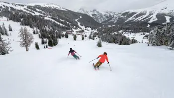 A pair of skiers rush down a slope, surrounded by views of endless mountains and trees.