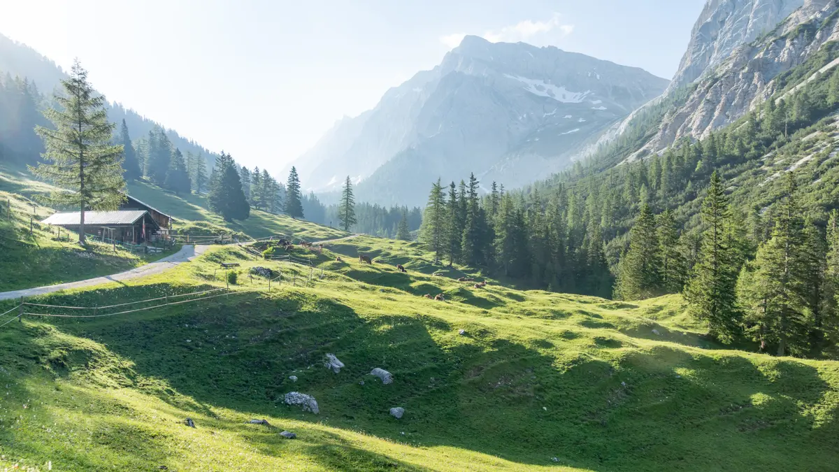 Halleranger in Summer ©Region Seefeld