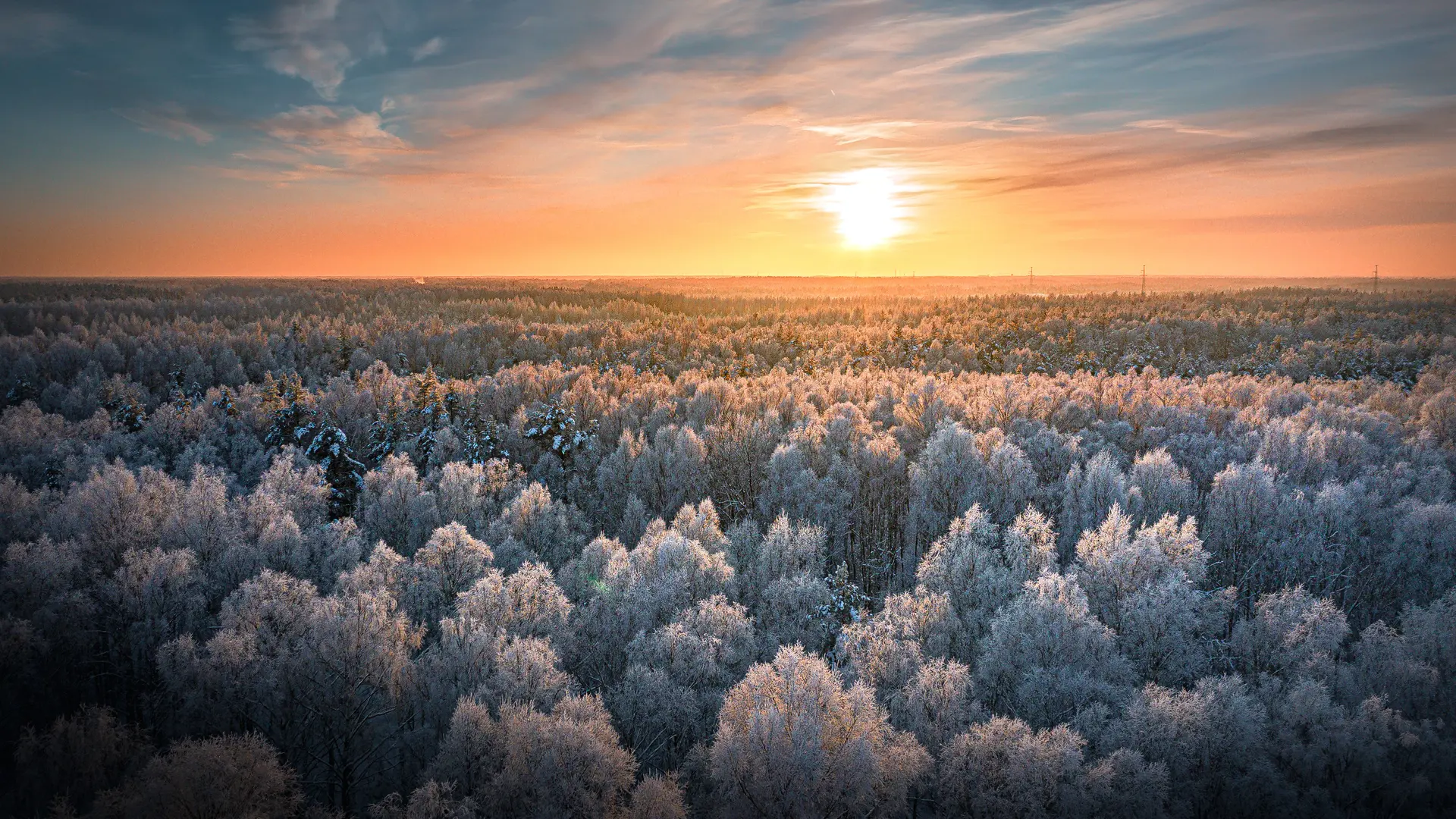 Hero Banner Background Video or Image