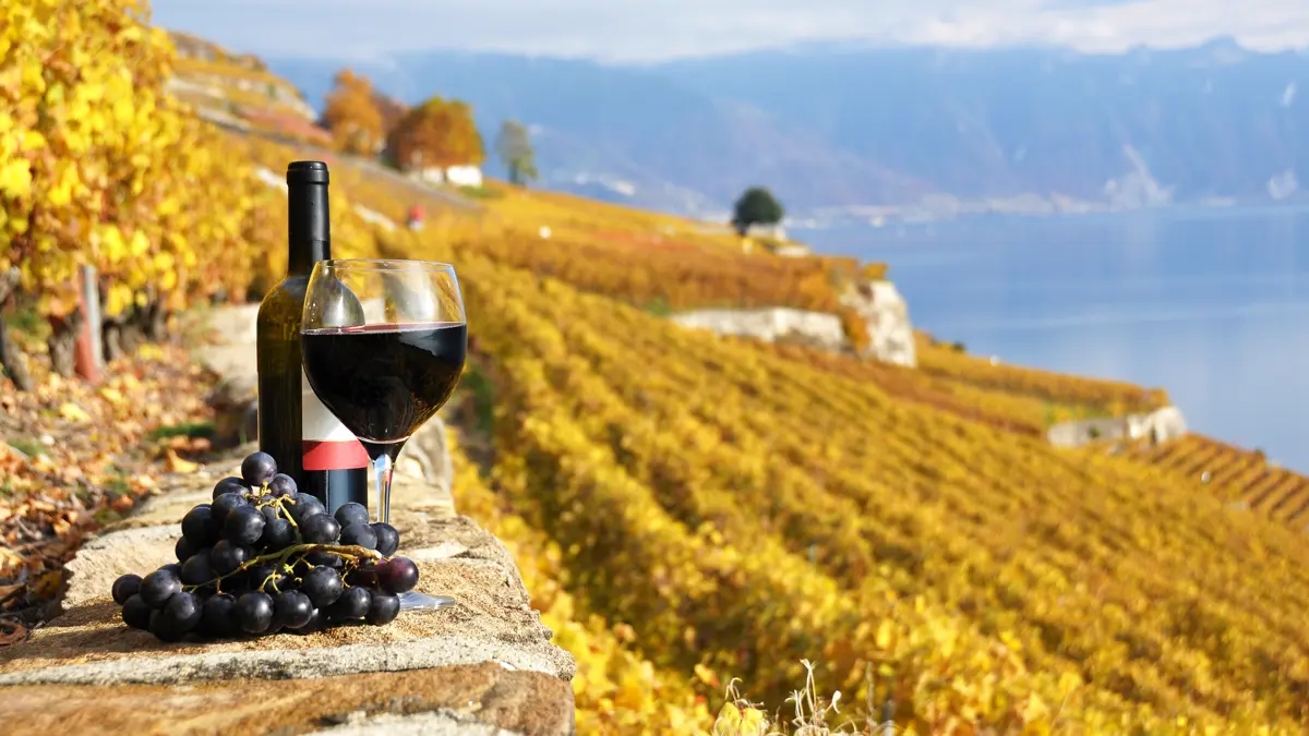 Switzerland Wine