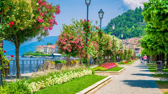 Floral Lakeside Promenade