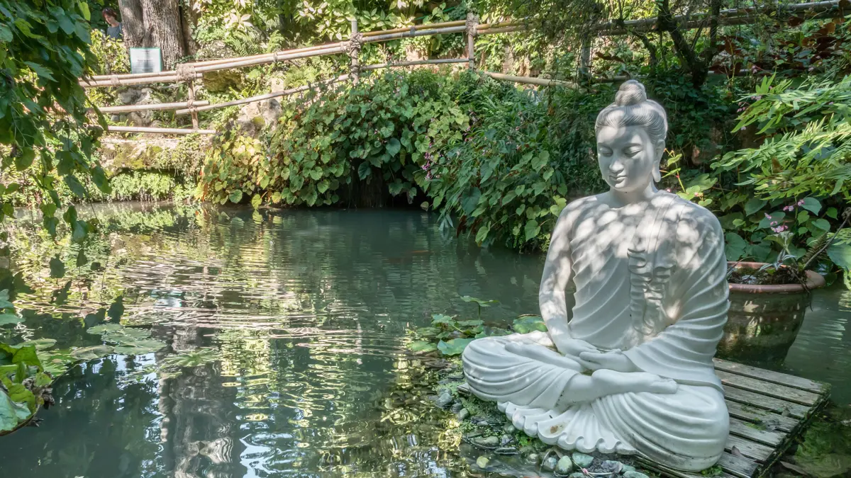 Heller Botanical Gardens