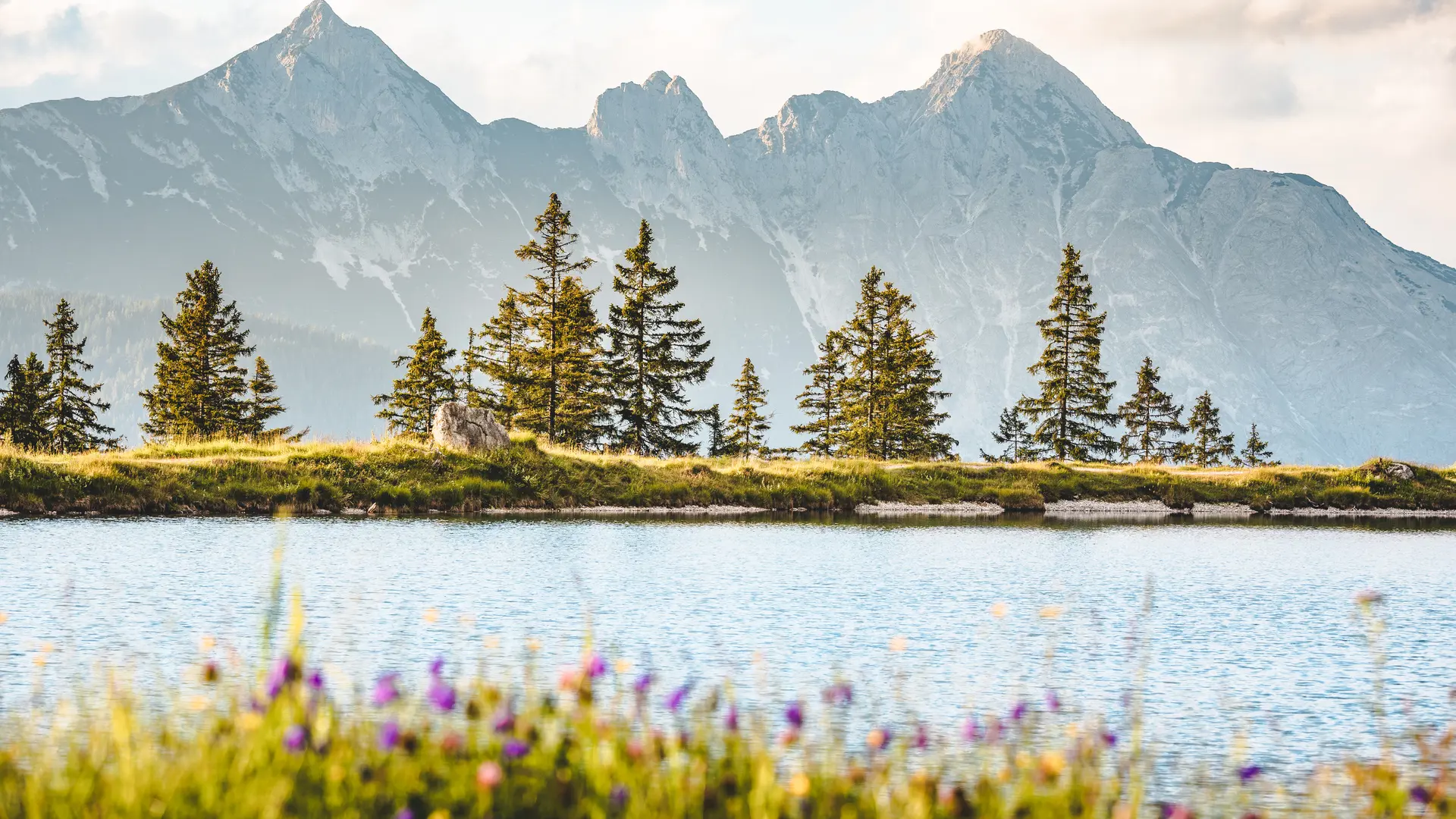 Hero Banner Background Video or Image