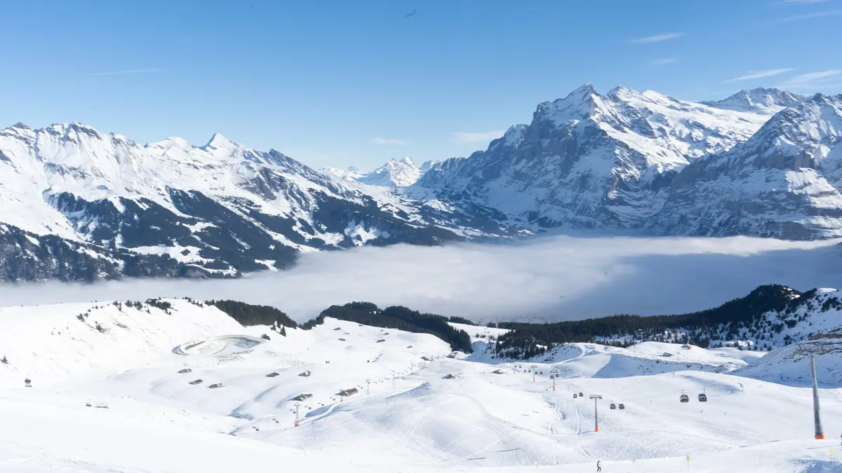 Ski Area