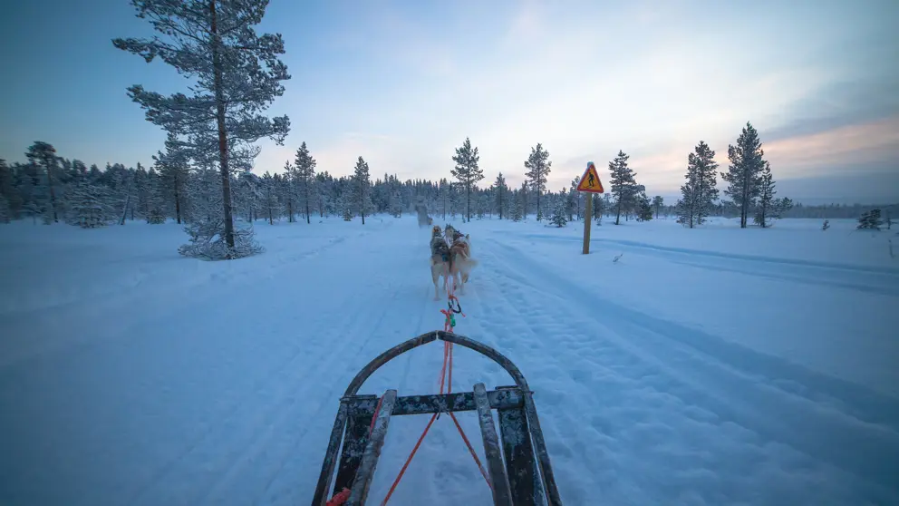 Harriniva Adventure Resort Muonio Husky Safari 3 [7]