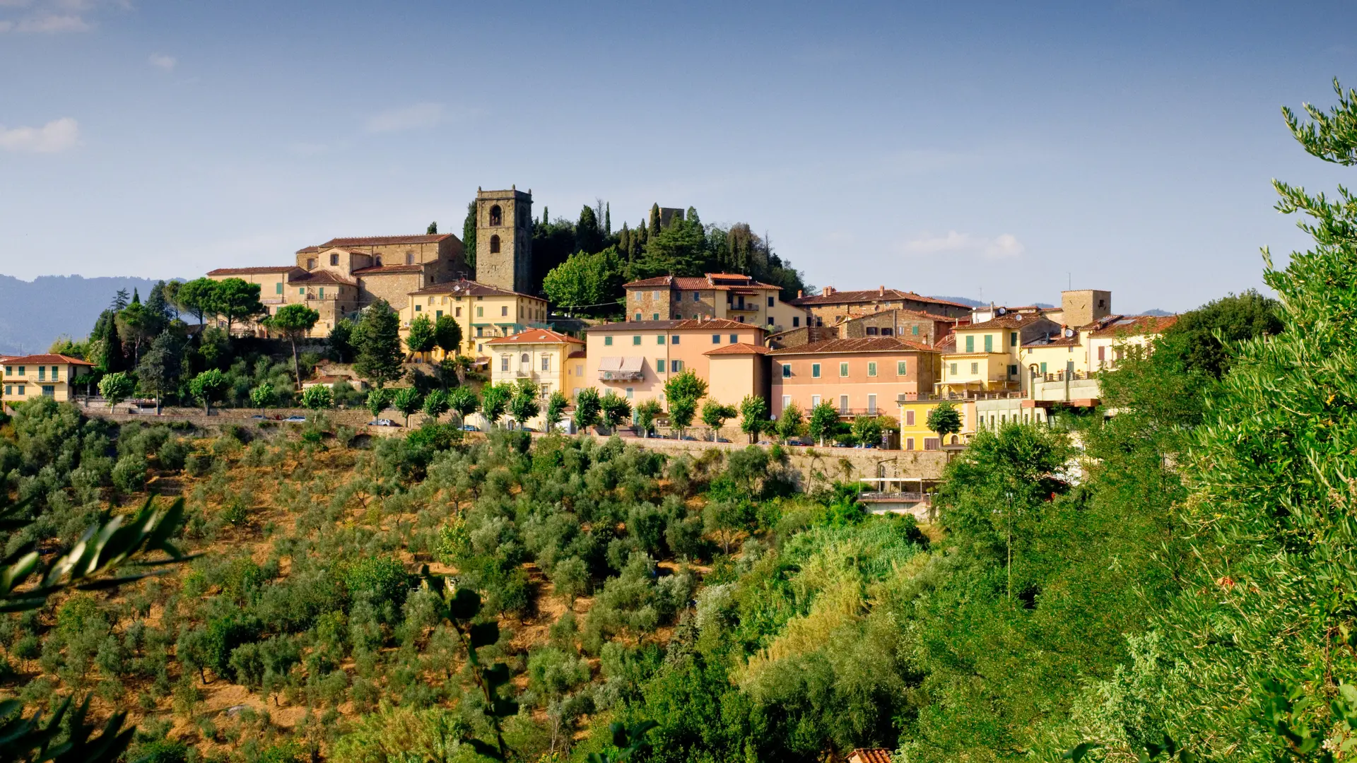 Hero Banner Background Video or Image