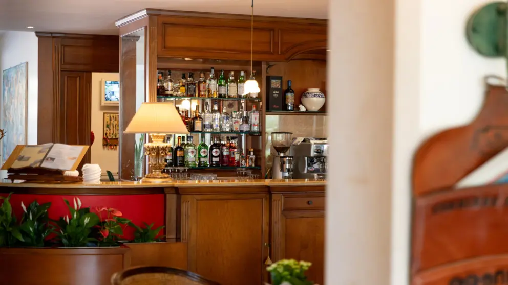 Hotel Villa Madrina Garda Bar [5]