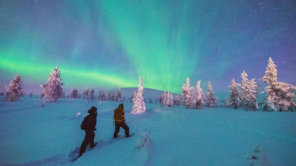 Harriniva Adventure Resort Muonio Snowshoeing 2 [5]