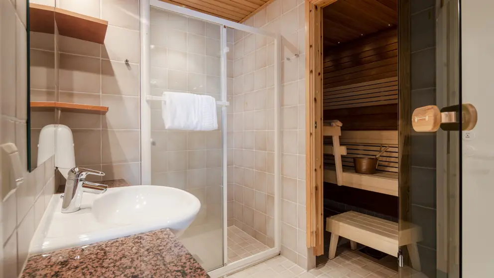 Akas Alp Apartments Yllas Typical Bathroom [8]