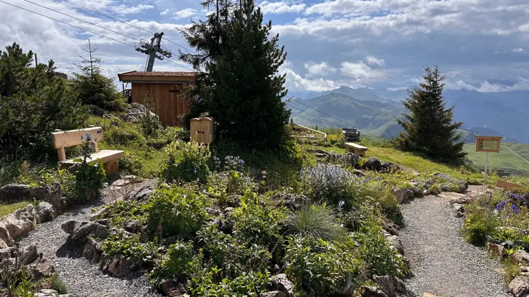A scenic view of a landscape