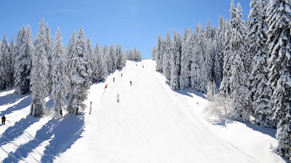 Guide Ski Ski Areas In France