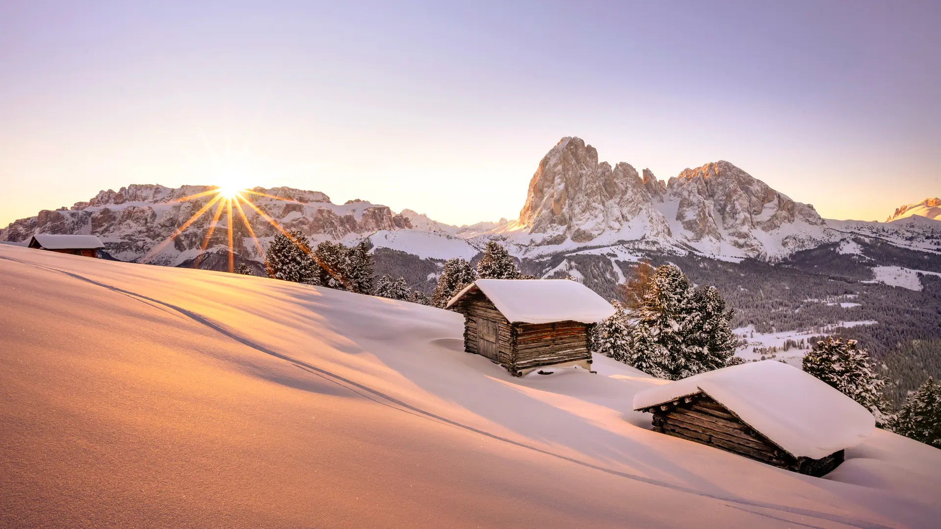 Hero Banner Background Video or Image