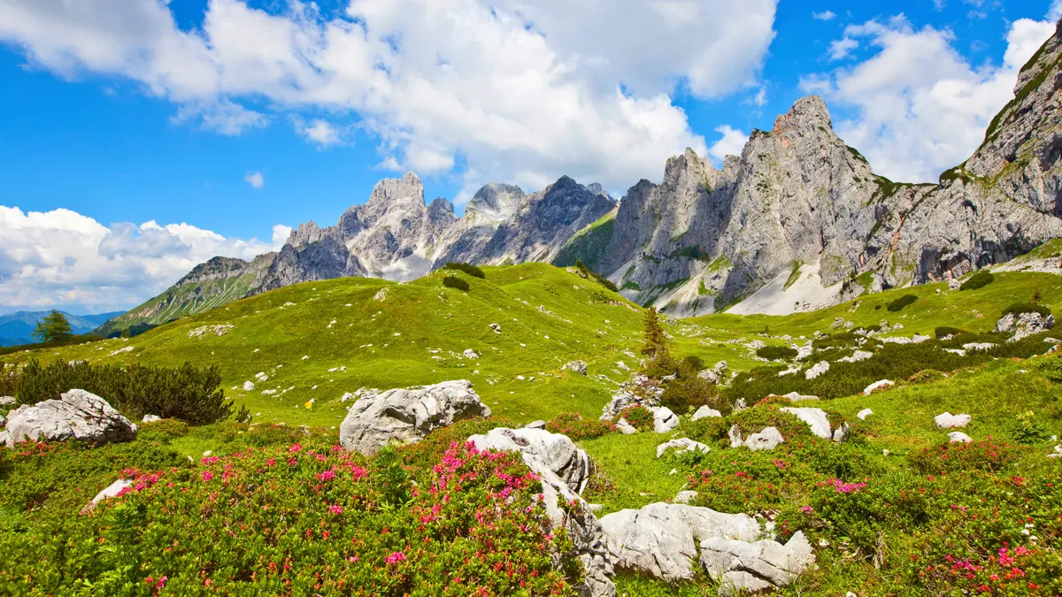 Filzmoos Bischofsmutze