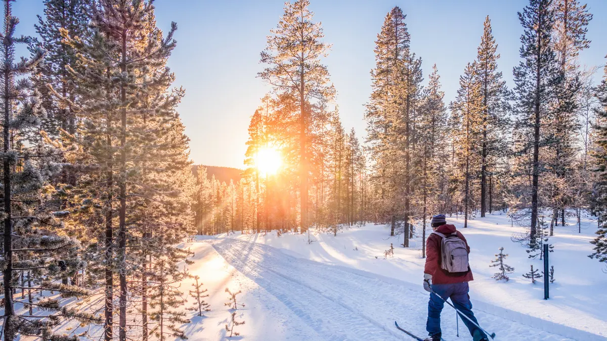 Finland Lapland Cross Country Skiing