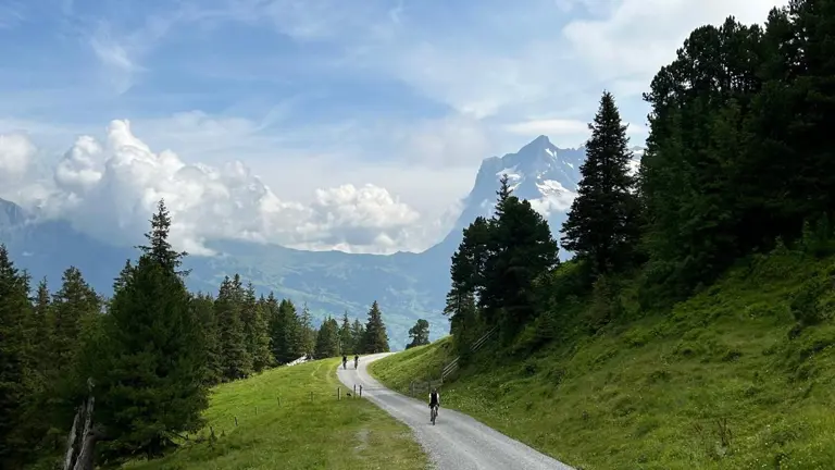 A scenic view of a landscape
