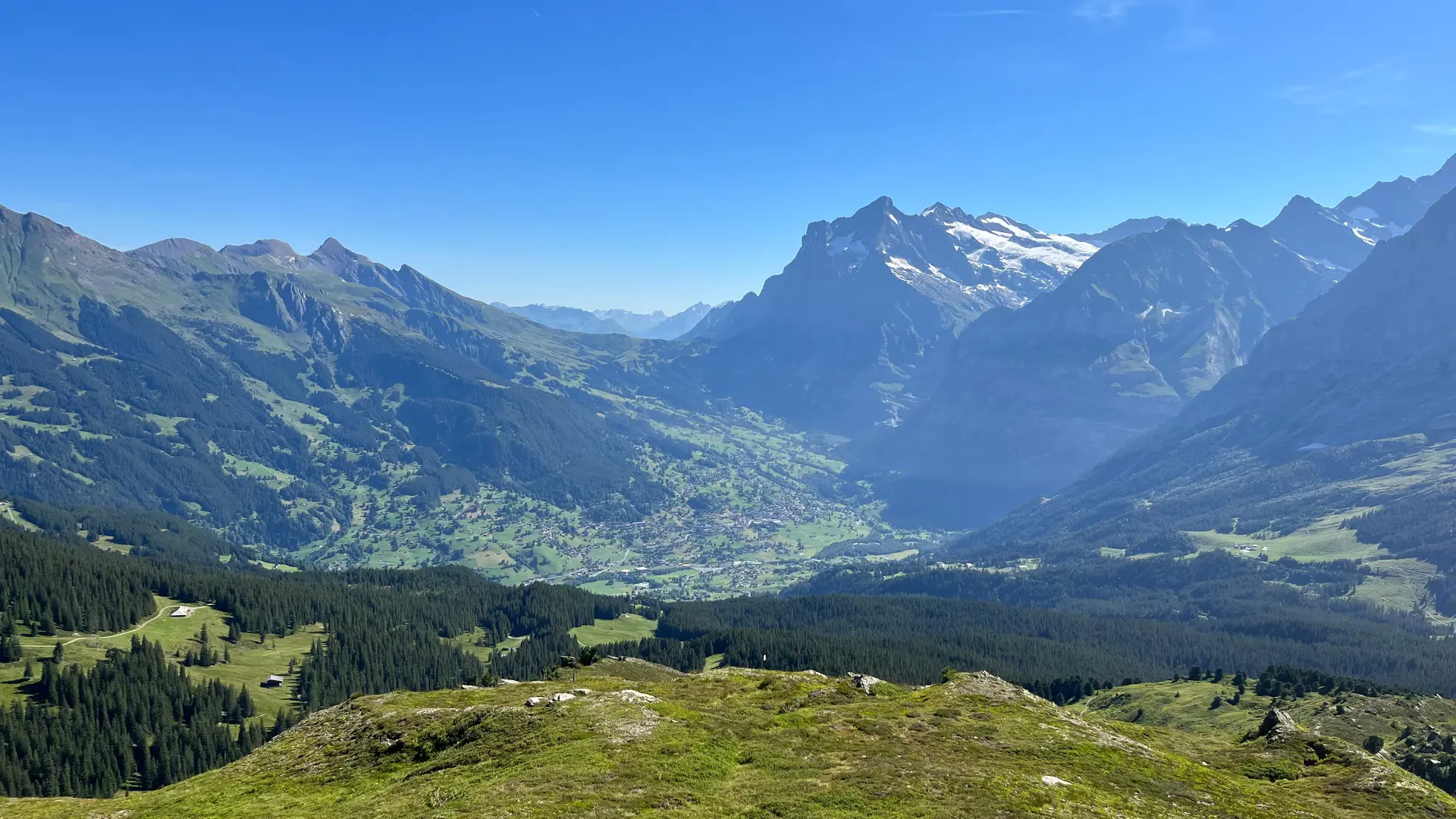 Hero Banner Background Video or Image